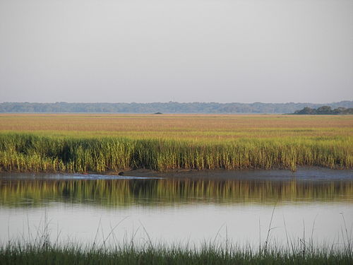 Carolina Lowcountry